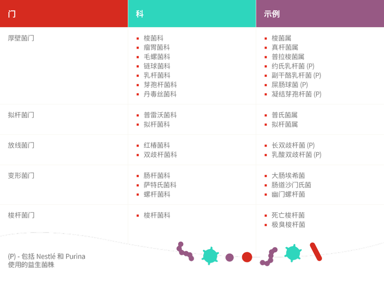 叶状样例表