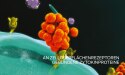 purina-institute-proteomik-zytokin-proteine