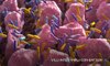 villi intestinali con batteri