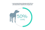 i cani anziani hanno bisogno del 50% di proteine in più rispetto ai cani giovani