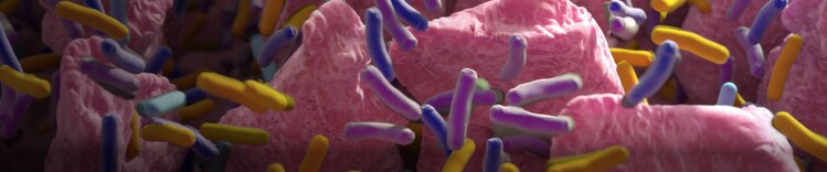 microbiome fundamentals banner