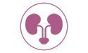 pictogramme de couleur violette illustrant l'appareil rénal
