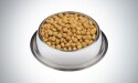 Come scegliere un cibo per cani sano