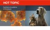 Sujet d'actualité Nutrition et système immunitaire
