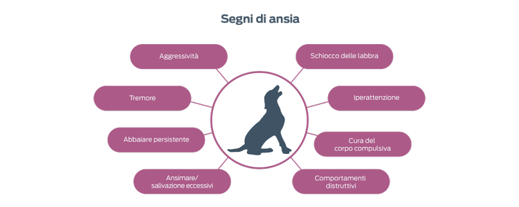 Segni di ansia. Aggressività. Tremore. Abbaio persistente. Ansimazione/salivazione eccessiva. Schiocco delle labbra. Iperattenzione. Cura del corpo compulsiva. Comportamenti distruttivi.