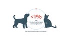 < 1 % der Herzerkrankungen sind bei Mischlingshunden und -katzen angeboren