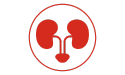 pictogramme de couleur rouge illustrant l'appareil rénal