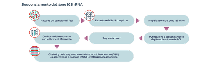 Sequenziamento del gene 16s rRNA