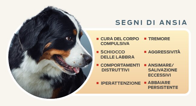 segni di ansia