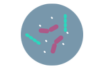 assuring the efficacy icon