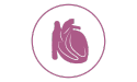 icona del cuore del gatto viola