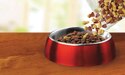 dry kibble filling a pet bowl