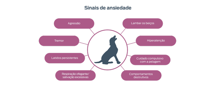 Sinais de ansiedade. Agressão. Tremendo. Latido persistente. Excesso de arqueação/salivação. Lábios batendo. Hiperatenção. aliciamento compulsivo. Comportamentos destrutivos.
