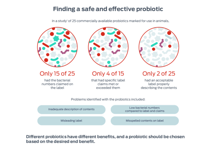 finding a safe and effective probiotic