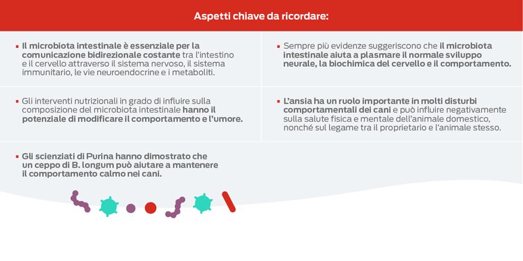 aspetti chiave da ricordare