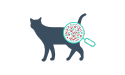 Symbol „Katze unter der Lupe“
