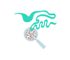magnifying glass icon