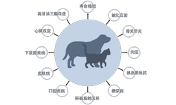寿命缩短、氧化应激、骨关节炎、炎症、胰岛素抵抗、糖尿病、脂肪肝、口腔疾病、皮肤病、下尿路疾病、心肺功能改变、高甘油三酯血症。