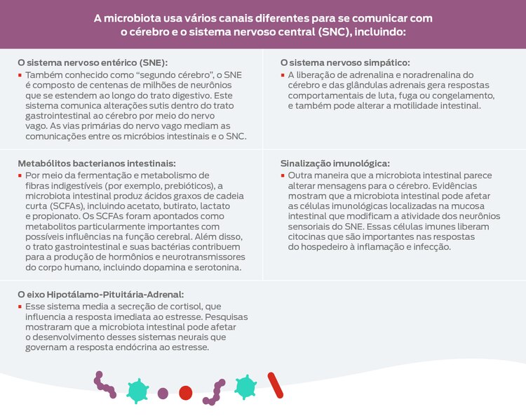 Evidências crescentes sugerem que os micróbios intestinais ajudam a moldar o desenvolvimento neural normal, a bioquímica cerebral e o comportamento.1 Em particular, a microbiota intestinal está emergindo como um ponto-chave na comunicação entre o intestino e o cérebro. Isso levou à definição de um novo termo: eixo microbiota-intestino-cérebro.