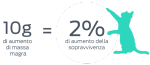 grafico sul gatto anziano magro