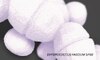 Enteroccoccus Faecium sf68