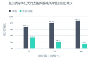 蛋白质减少了犬的去脂体重损失并促进脂肪消耗。本图显示了脂体重和去脂体重损失百分比与饮食方案中的膳食蛋白质百分比的对应情况。含 20% 膳食蛋白质的饮食方案显示脂体重减轻 3350 g,去脂体重减轻 1700 g。含 30% 膳食蛋白质的饮食方案显示脂体重减轻 3420 g,去脂体重减轻 900 g。含 39% 膳食蛋白质的饮食方案显示脂体重减轻 3800 g,去脂体重减轻 700 g。