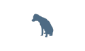 grafica cane blu
