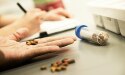 offene Hand mit Trockenfutter